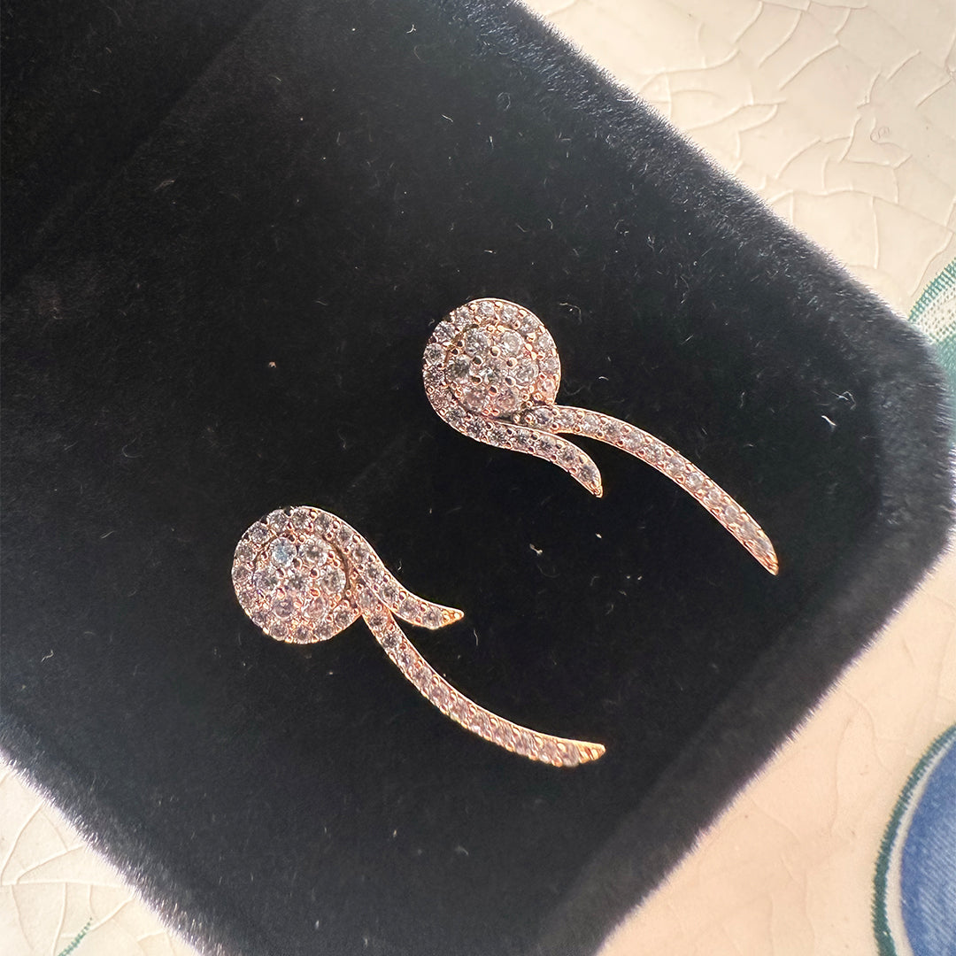 Stud Earrings