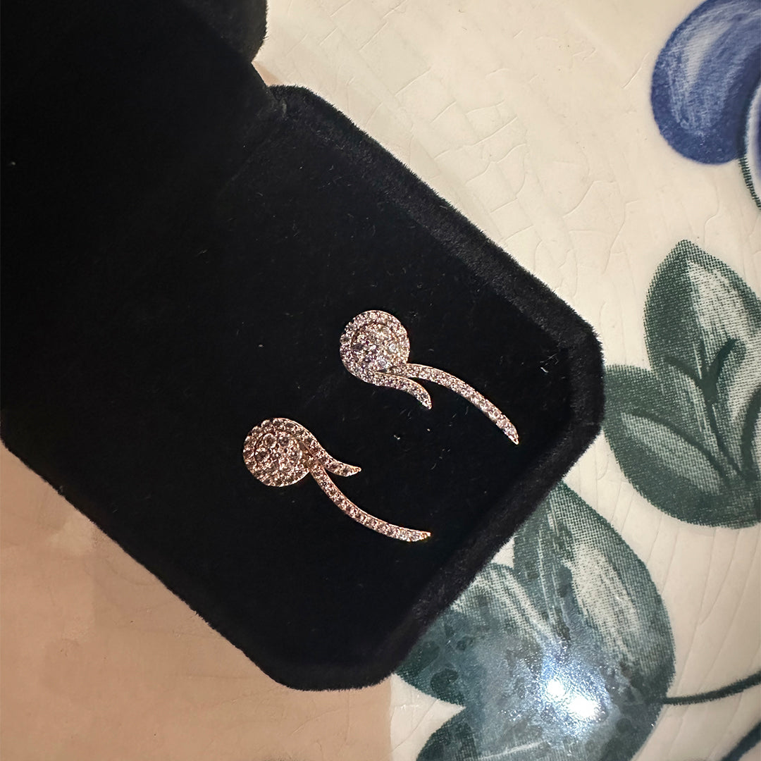 Stud Earrings